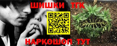 крисы Пыть-Ях
