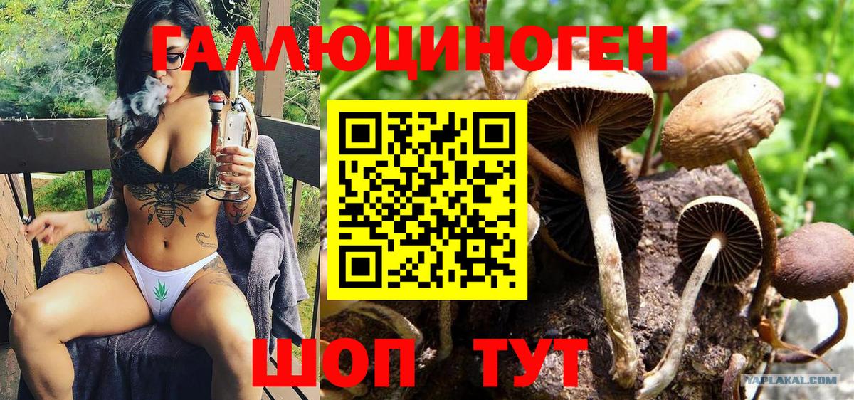 купить наркотики цена  Вход с VPN  Псилоцибиновые грибы GOLDEN TEACHER  Наро-Фоминск  Псилоцибиновые грибы MAGIC MUSHROOMS 